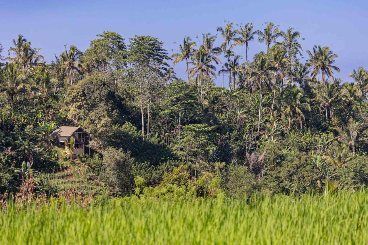 Sanda Plantation Hideaway Экстерьер фото